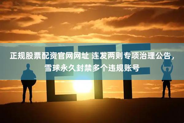 正规股票配资官网网址 连发两则专项治理公告，雪球永久封禁多个违规账号