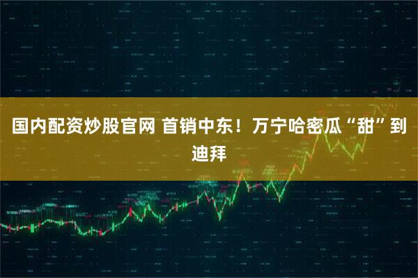 国内配资炒股官网 首销中东！万宁哈密瓜“甜”到迪拜