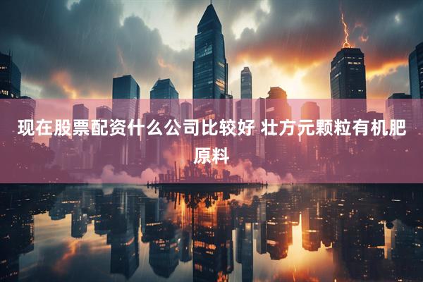 现在股票配资什么公司比较好 壮方元颗粒有机肥原料